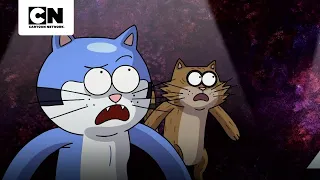 A REALITY FULL OF CATS | REGULAR SHOW | CARTOON NETWORK