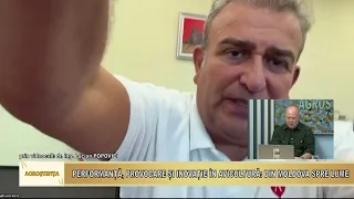 Agrostiinta 21 08 2026