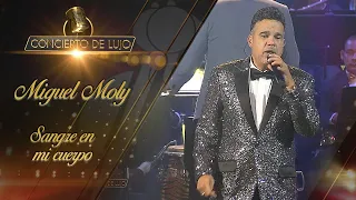 [Concierto De Lujo] – Miguel Moly – Sangre en mi cuerpo