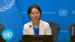 Sale, sexual exploitation and sexual abuse of children - Press Conference | United Nations