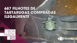 687 filhotes de tartarugas compradas ilegalmente