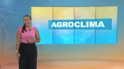 Quinta-feira de chuva no Paraná, São Paulo e Minas Gerais  | 2/4/2026