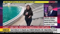 A murit Chen Chen, unul dintre cei mai iubiți delfini de la Delfinariul Constanța