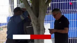 Abejas en Ciencias Forenses