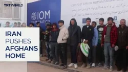 UN says Iran has deported 1.5M Afghans since 2025