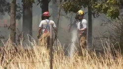 Latest News | Dry conditions prompt Arkansas counties to issue burn bans