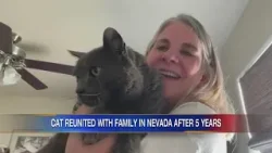 Nevada pet owners reunite with lost cat found in Arkansas after 5 years