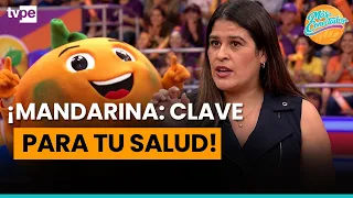 EVERYTHING YOU DIDN'T KNOW ABOUT MANDARINS! 🍊💪 | "More connected"