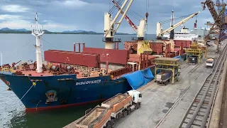 Beef exports fall 18% in July, according to SECEX