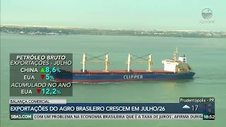 Brazilian Agribusiness Exports Grew in July/26
