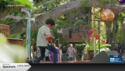 Entertainment: Duke's Ukes Competition in Waikiki
