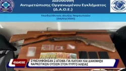 Αστυνομικό.