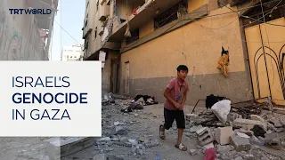 UN inquiry finds Israel committing genocide by targeting children