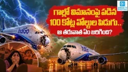 IndiGo Flight Hit by Lightning at 17,000 Feet! How Did 110 Passengers Survive? | Aviation Science