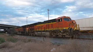 Union Pacific train hits 2 people in Sacramento, killing 1