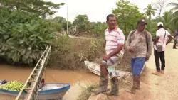En lanchas, a través de un muelle improvisado, están tratando de sacar el plátano en Urabá