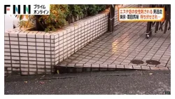 高田馬場でエステ店員の女性が外国籍とみられる男に刺される「客として複数回来店・面識ある」男は逃走中　東京・新宿区