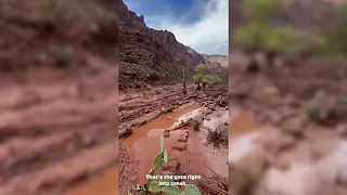 Grand Canyon'da sel: Phantom Ranch'ta 20'den fazla kişi kayıp