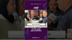 البوري بـ250 جنيه.. أسعار الأسماك اليوم