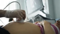 A look inside the body: Ultrasound technology originates from Upper Austria
