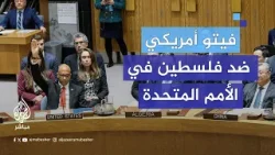 على الرغم من تأييد 12 عضوًا.. فيتو أمريكي ضد العضوية الكاملة لفلسطين في الأمم المتحدة