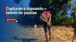 Capturan a supuesto ladrón de yautías