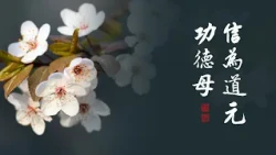 淨空老法師｜大經專修（二）｜淨土法門易行難信-第0203集
