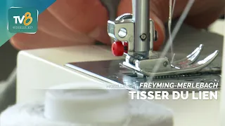 ASBH: A Sewing Workshop to Weave Connections