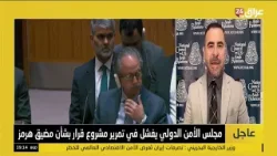 حيلاني : الفيتو الصيني الروسي على المشروع البحريني يؤكد اصطفاف الثنائي عسكريا واقتصاديا مع إيران