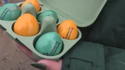 Zum 4. Mal - Die erfolgreiche Osteraktion der Stadtwerke hat begonnen - RFH aktuell Zum 4. Mal - Die erfolgreiche Osteraktion der Stadtwerke hat begonnen - RFH aktuell