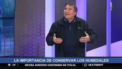 "La desaparición de los humedales nos juegan en contra": Dr. Ricardo Barra, sobre el sistema frontal