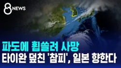Death by Swept Away Waves.. 'Champi' Hits Taiwan, Heads Toward Japan / SBS 8 News