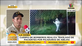 Fire Department transports patients stung by bees in La Ceiba