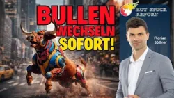 Söllner: "Irre Vision" 2030! Chance BYD, Solar?! "Alarm" von Nvidia; Bitcoin vs. Gold, BMW, Tesla