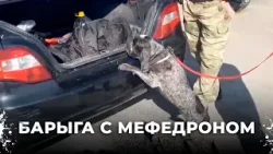 Горячая погоня: Полиция Каменска-Уральского раскрыла крупный канал наркоторговли