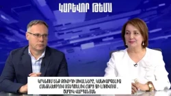 Կրկնում ենք քովիդի սխալները, կանխարգելիչ հանձնաժողով ստեղծելով հարց չի լուծվում․ Ծաղիկ Վարդանյան