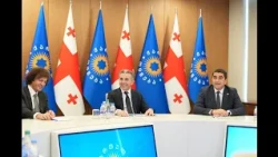 "მტრების ადგილი დემოკრატიულ პარტიულ ლანდშაფტში არ არის“ - "ოცნებას" საკონსტიტუციოს იმედი აქვს