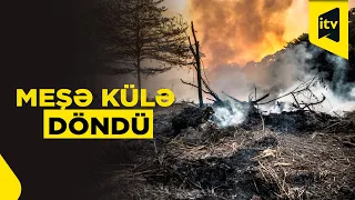 İspaniyada şiddətli meşə yanğınları davam edir