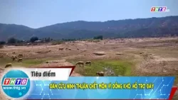 Đàn cừu Ninh Thuận chết mòn vì đồng khô, hồ trơ đáy