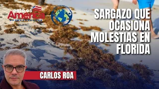 Florida Climate Week 2026 to analyze the impact of sargassum