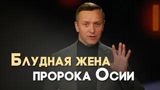 VOT000065