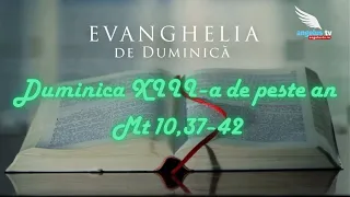 SUNDAY GOSPEL - 13th Sunday in Ordinary Time