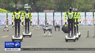 Intelligent robots demonstrate real-world skills in Hangzhou
