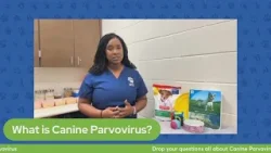 The Pet Pawcast - Canine Parvovirus