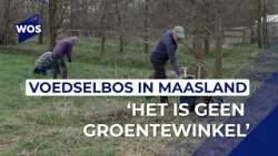 'Het voedselbos is geen groentewinkel' 'Het voedselbos is geen groentewinkel'