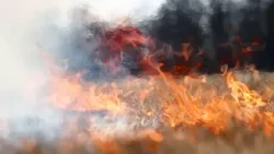 Tűzgyújtási tilalom Bács-Kiskun vármegyében is Tűzgyújtási tilalom Bács-Kiskun vármegyében is