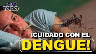 Alert Over Rising Dengue Cases and Mistakes in Home Treatment | Lo Sé Todo