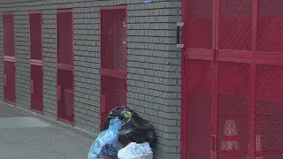 Woman shot taking out the trash in the Bronx