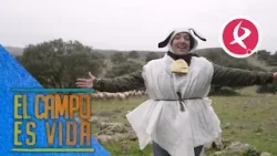 Chabeli vive su propio ''Carnaval Merino'' | El campo es vida