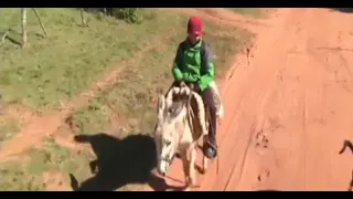 Pedrito and Rosita: The boy who travels 5 km by donkey to get to school in Sapucai